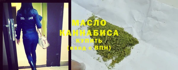 индика Заводоуковск